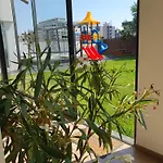 Mianelly Mamaia Nord Năvodari